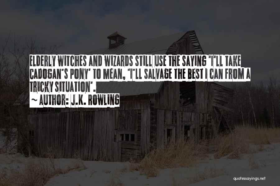 J.K. Rowling Quotes: Elderly Witches And Wizards Still Use The Saying 'i'll Take Cadogan's Pony' To Mean, 'i'll Salvage The Best I Can