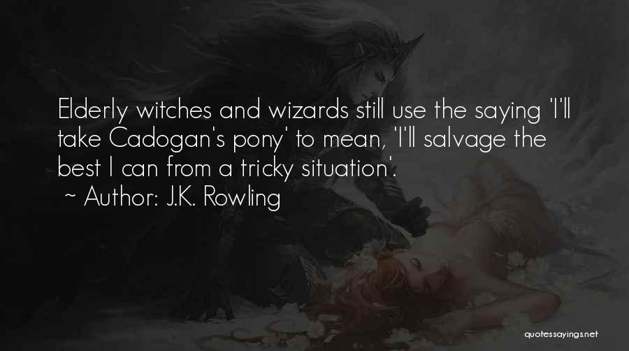 J.K. Rowling Quotes: Elderly Witches And Wizards Still Use The Saying 'i'll Take Cadogan's Pony' To Mean, 'i'll Salvage The Best I Can