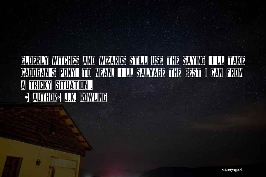 J.K. Rowling Quotes: Elderly Witches And Wizards Still Use The Saying 'i'll Take Cadogan's Pony' To Mean, 'i'll Salvage The Best I Can