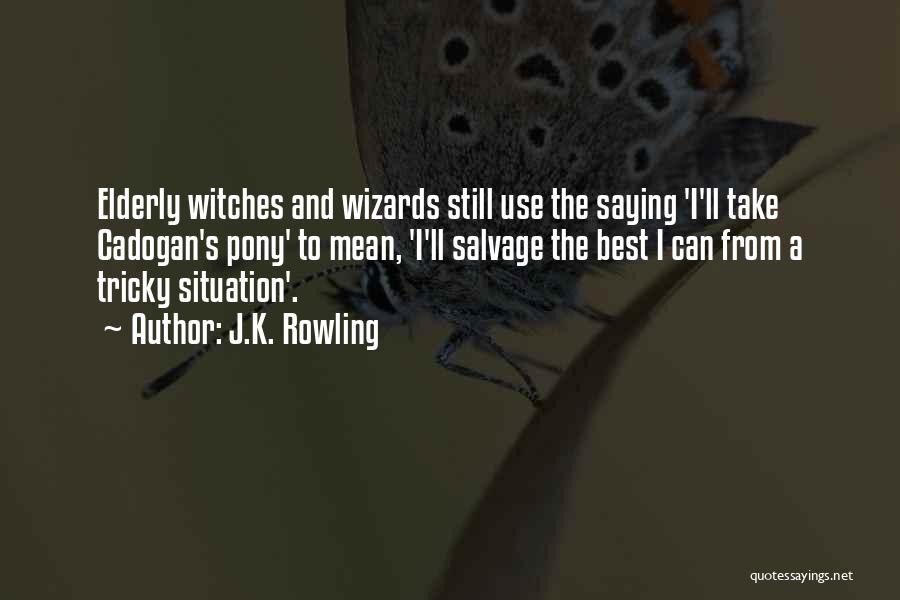 J.K. Rowling Quotes: Elderly Witches And Wizards Still Use The Saying 'i'll Take Cadogan's Pony' To Mean, 'i'll Salvage The Best I Can