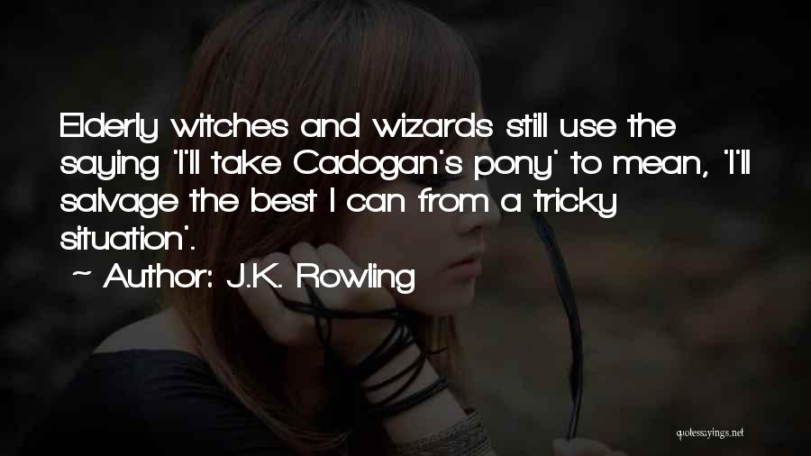 J.K. Rowling Quotes: Elderly Witches And Wizards Still Use The Saying 'i'll Take Cadogan's Pony' To Mean, 'i'll Salvage The Best I Can