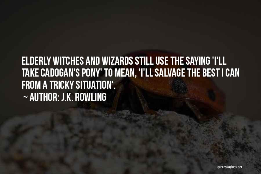 J.K. Rowling Quotes: Elderly Witches And Wizards Still Use The Saying 'i'll Take Cadogan's Pony' To Mean, 'i'll Salvage The Best I Can