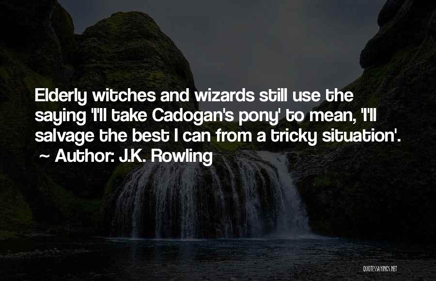 J.K. Rowling Quotes: Elderly Witches And Wizards Still Use The Saying 'i'll Take Cadogan's Pony' To Mean, 'i'll Salvage The Best I Can