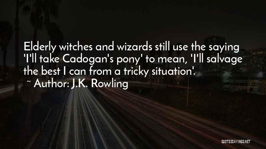 J.K. Rowling Quotes: Elderly Witches And Wizards Still Use The Saying 'i'll Take Cadogan's Pony' To Mean, 'i'll Salvage The Best I Can