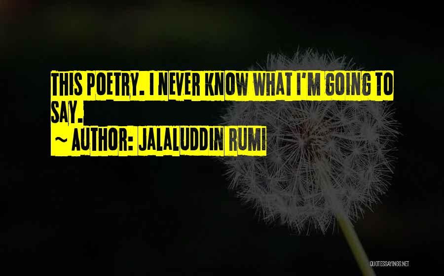 Jalaluddin Rumi Quotes: This Poetry. I Never Know What I'm Going To Say.