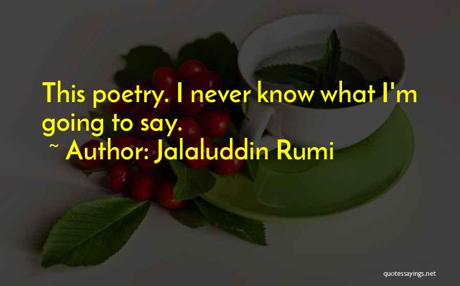 Jalaluddin Rumi Quotes: This Poetry. I Never Know What I'm Going To Say.