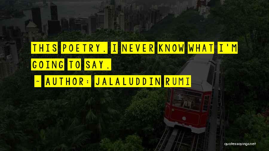 Jalaluddin Rumi Quotes: This Poetry. I Never Know What I'm Going To Say.