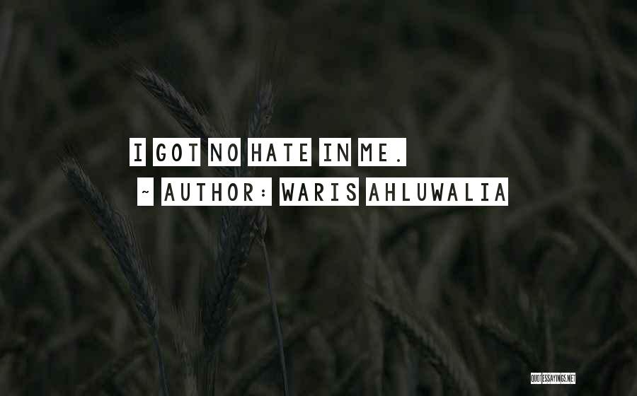 Waris Ahluwalia Quotes: I Got No Hate In Me.