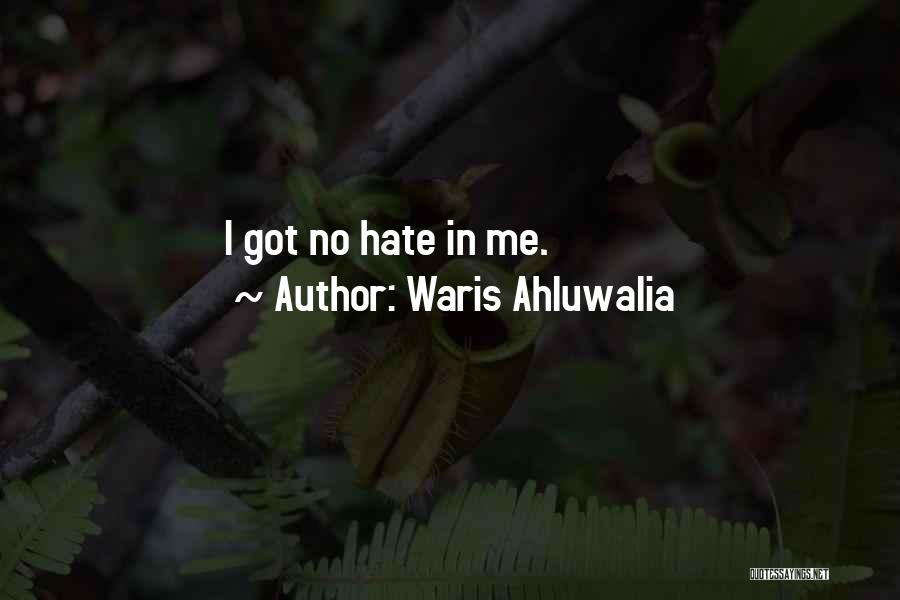 Waris Ahluwalia Quotes: I Got No Hate In Me.