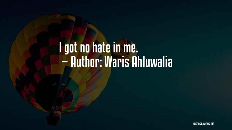 Waris Ahluwalia Quotes: I Got No Hate In Me.