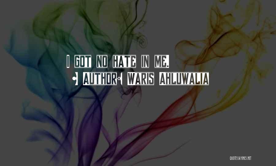 Waris Ahluwalia Quotes: I Got No Hate In Me.