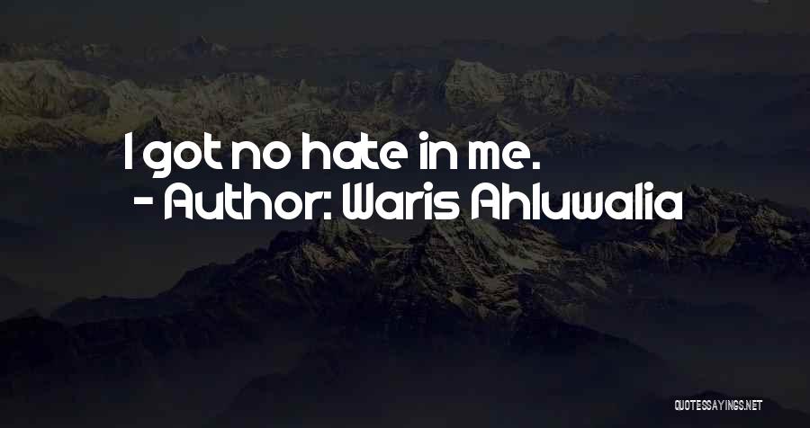 Waris Ahluwalia Quotes: I Got No Hate In Me.