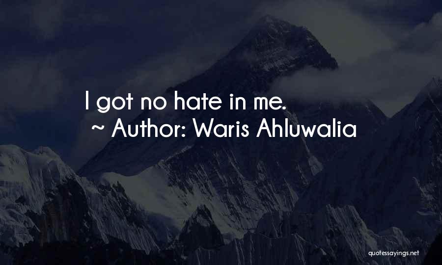 Waris Ahluwalia Quotes: I Got No Hate In Me.