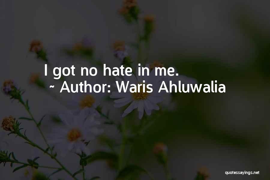 Waris Ahluwalia Quotes: I Got No Hate In Me.