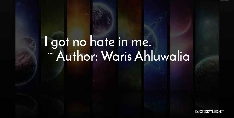 Waris Ahluwalia Quotes: I Got No Hate In Me.