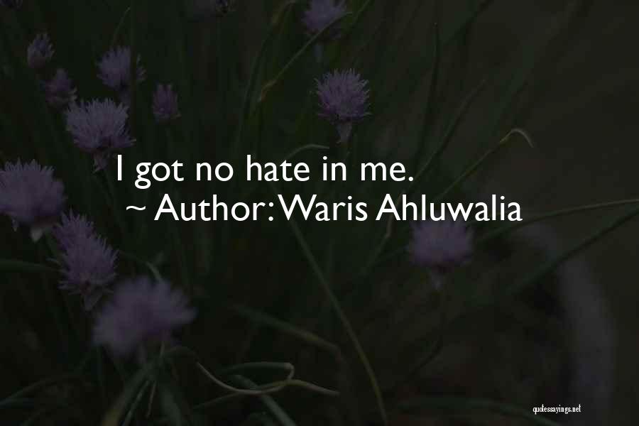 Waris Ahluwalia Quotes: I Got No Hate In Me.