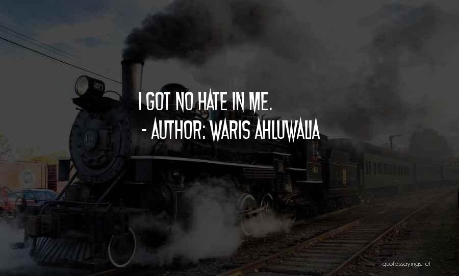 Waris Ahluwalia Quotes: I Got No Hate In Me.