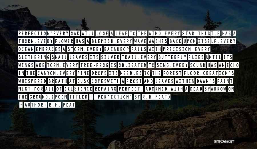 R.H. Peat Quotes: Perfectionevery Oak Will Lose A Leaf To The Wind.every Star-thistle Has A Thorn.every Flower Has A Blemish.every Wave Washes Back