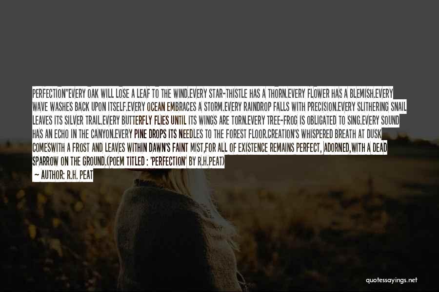 R.H. Peat Quotes: Perfectionevery Oak Will Lose A Leaf To The Wind.every Star-thistle Has A Thorn.every Flower Has A Blemish.every Wave Washes Back