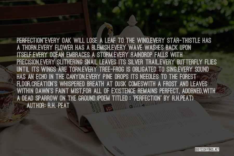 R.H. Peat Quotes: Perfectionevery Oak Will Lose A Leaf To The Wind.every Star-thistle Has A Thorn.every Flower Has A Blemish.every Wave Washes Back