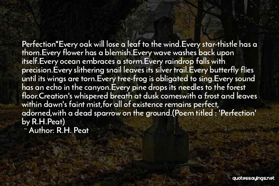 R.H. Peat Quotes: Perfectionevery Oak Will Lose A Leaf To The Wind.every Star-thistle Has A Thorn.every Flower Has A Blemish.every Wave Washes Back