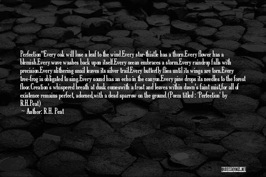 R.H. Peat Quotes: Perfectionevery Oak Will Lose A Leaf To The Wind.every Star-thistle Has A Thorn.every Flower Has A Blemish.every Wave Washes Back