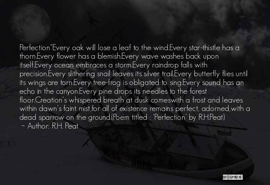 R.H. Peat Quotes: Perfectionevery Oak Will Lose A Leaf To The Wind.every Star-thistle Has A Thorn.every Flower Has A Blemish.every Wave Washes Back