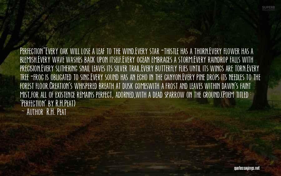 R.H. Peat Quotes: Perfectionevery Oak Will Lose A Leaf To The Wind.every Star-thistle Has A Thorn.every Flower Has A Blemish.every Wave Washes Back