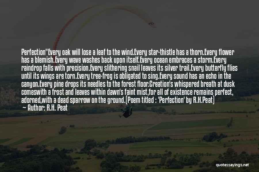 R.H. Peat Quotes: Perfectionevery Oak Will Lose A Leaf To The Wind.every Star-thistle Has A Thorn.every Flower Has A Blemish.every Wave Washes Back