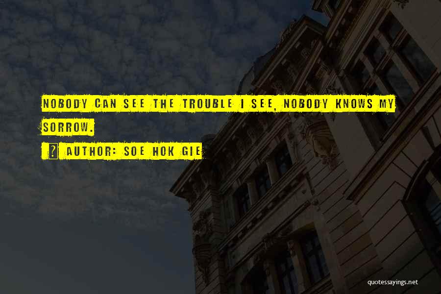 Soe Hok Gie Quotes: Nobody Can See The Trouble I See, Nobody Knows My Sorrow.