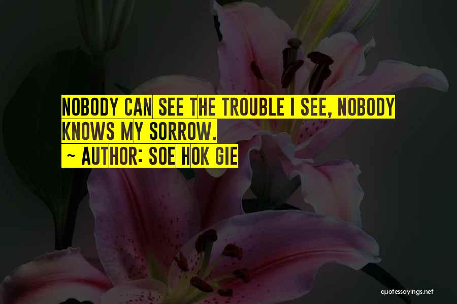 Soe Hok Gie Quotes: Nobody Can See The Trouble I See, Nobody Knows My Sorrow.