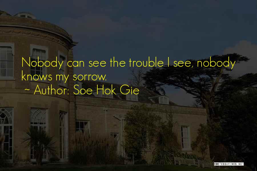 Soe Hok Gie Quotes: Nobody Can See The Trouble I See, Nobody Knows My Sorrow.