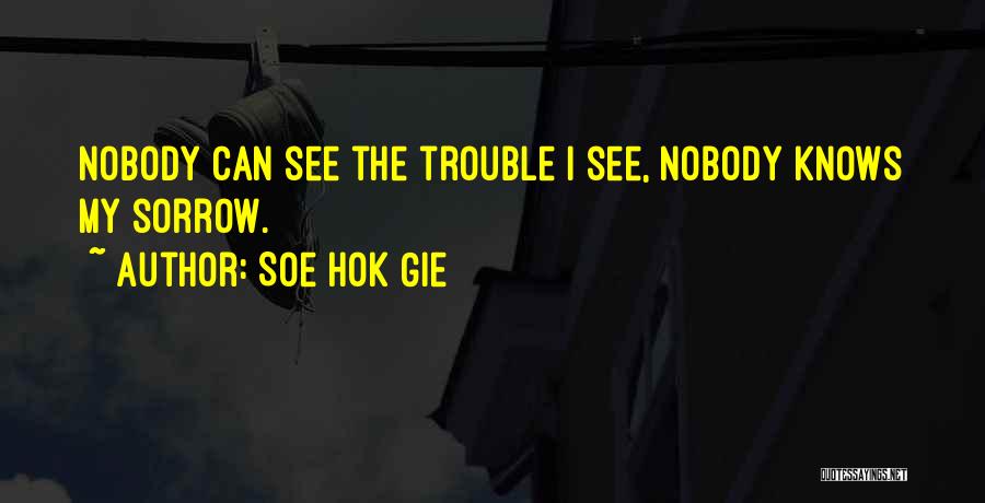 Soe Hok Gie Quotes: Nobody Can See The Trouble I See, Nobody Knows My Sorrow.