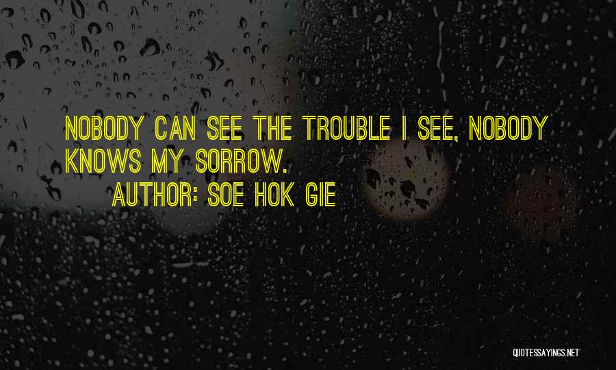Soe Hok Gie Quotes: Nobody Can See The Trouble I See, Nobody Knows My Sorrow.