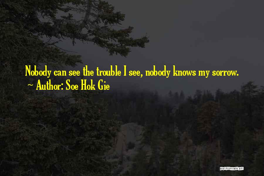 Soe Hok Gie Quotes: Nobody Can See The Trouble I See, Nobody Knows My Sorrow.