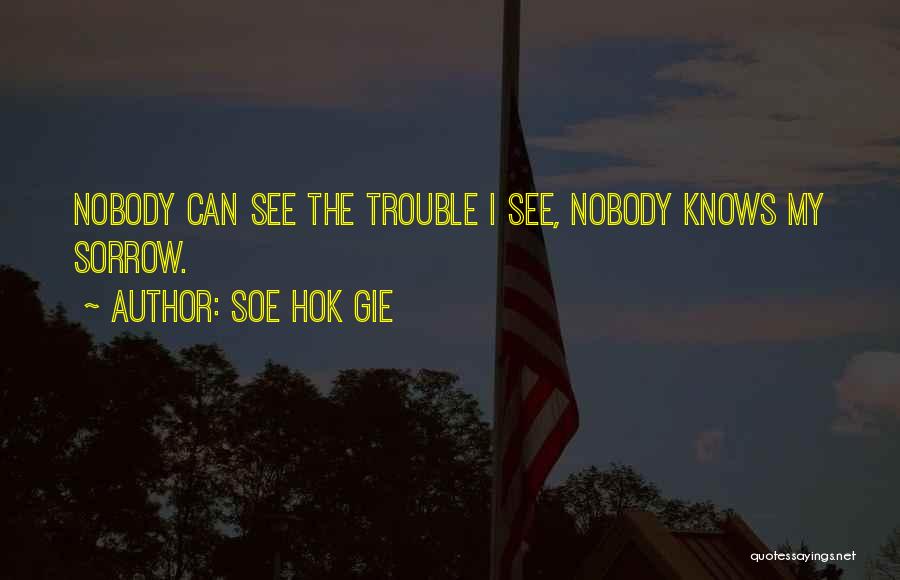 Soe Hok Gie Quotes: Nobody Can See The Trouble I See, Nobody Knows My Sorrow.