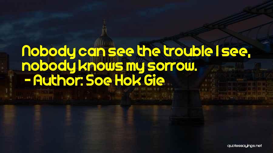 Soe Hok Gie Quotes: Nobody Can See The Trouble I See, Nobody Knows My Sorrow.
