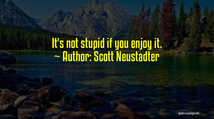 Scott Neustadter Quotes: It's Not Stupid If You Enjoy It.