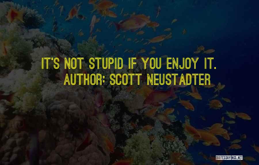 Scott Neustadter Quotes: It's Not Stupid If You Enjoy It.