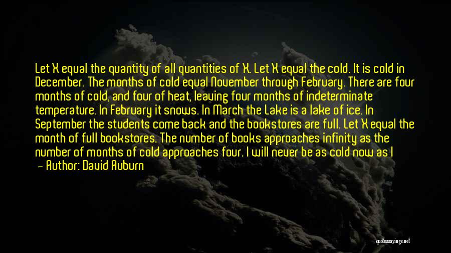 David Auburn Quotes: Let X Equal The Quantity Of All Quantities Of X. Let X Equal The Cold. It Is Cold In December.