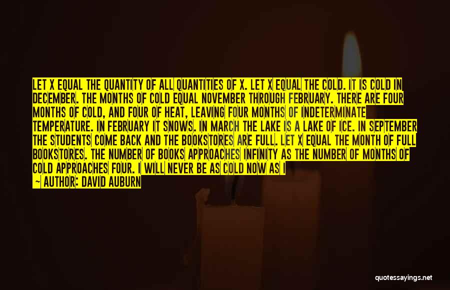 David Auburn Quotes: Let X Equal The Quantity Of All Quantities Of X. Let X Equal The Cold. It Is Cold In December.