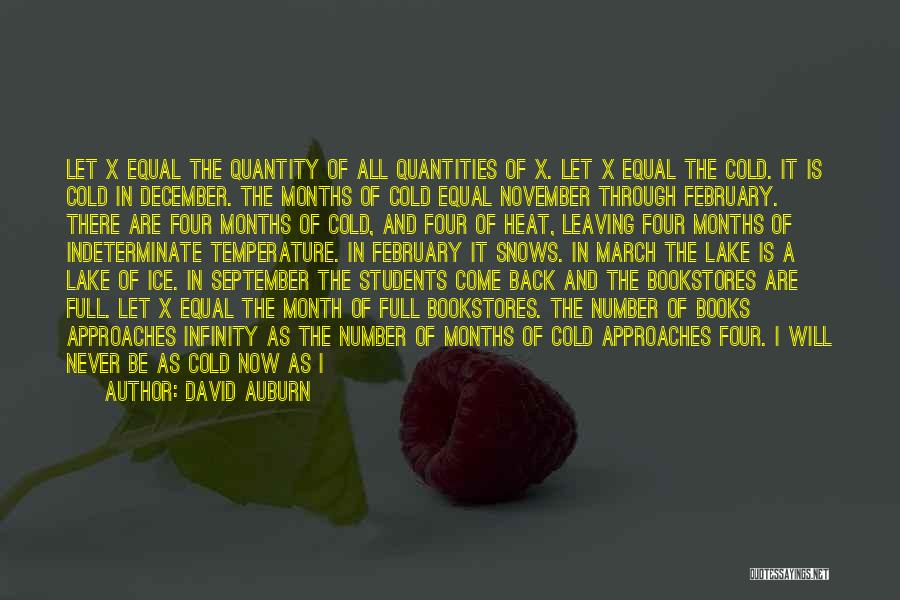 David Auburn Quotes: Let X Equal The Quantity Of All Quantities Of X. Let X Equal The Cold. It Is Cold In December.