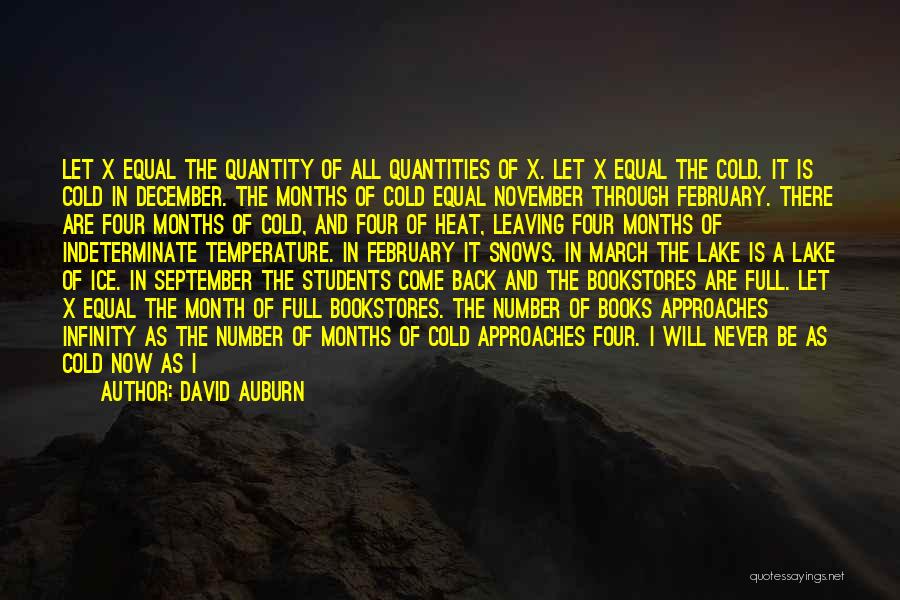 David Auburn Quotes: Let X Equal The Quantity Of All Quantities Of X. Let X Equal The Cold. It Is Cold In December.