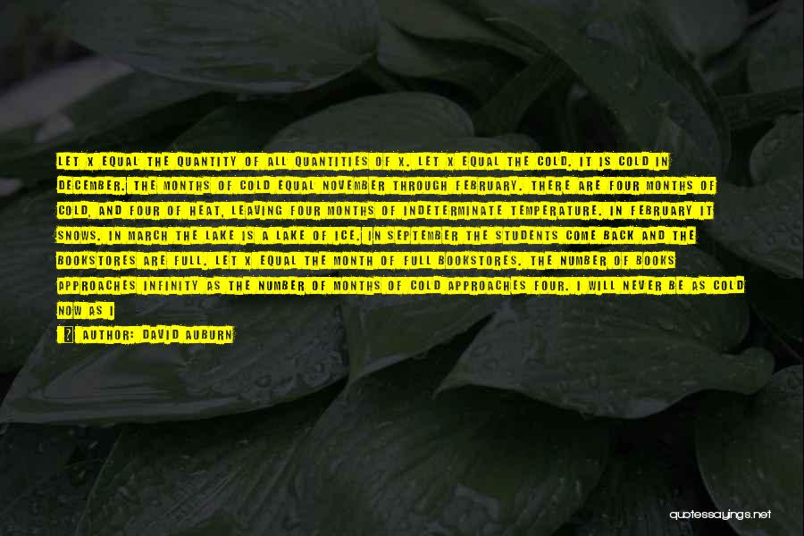 David Auburn Quotes: Let X Equal The Quantity Of All Quantities Of X. Let X Equal The Cold. It Is Cold In December.