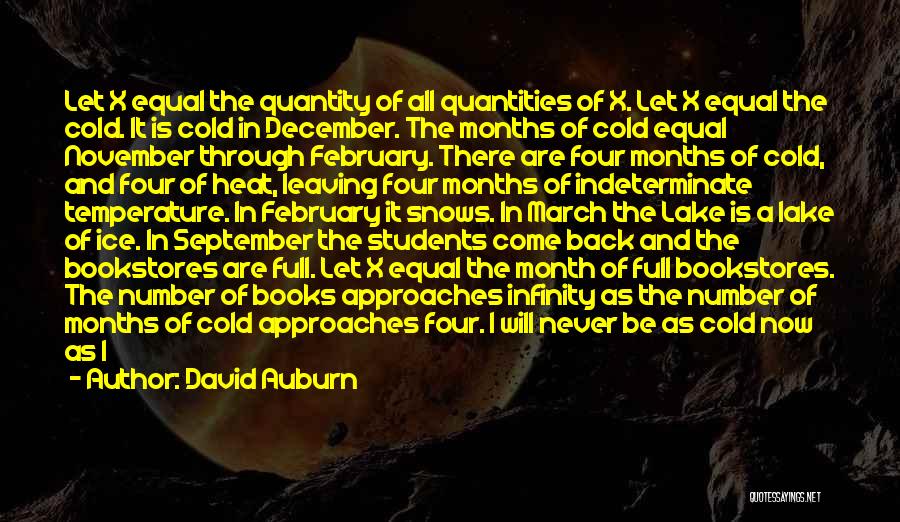 David Auburn Quotes: Let X Equal The Quantity Of All Quantities Of X. Let X Equal The Cold. It Is Cold In December.