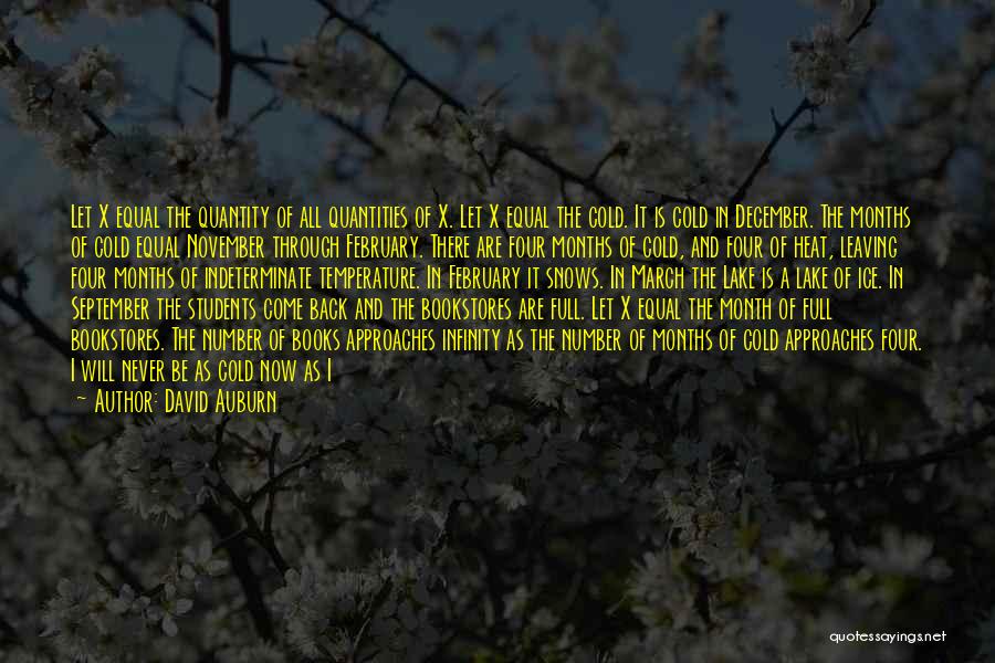 David Auburn Quotes: Let X Equal The Quantity Of All Quantities Of X. Let X Equal The Cold. It Is Cold In December.