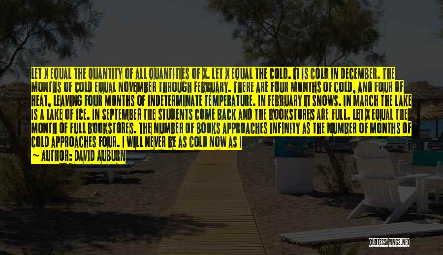 David Auburn Quotes: Let X Equal The Quantity Of All Quantities Of X. Let X Equal The Cold. It Is Cold In December.
