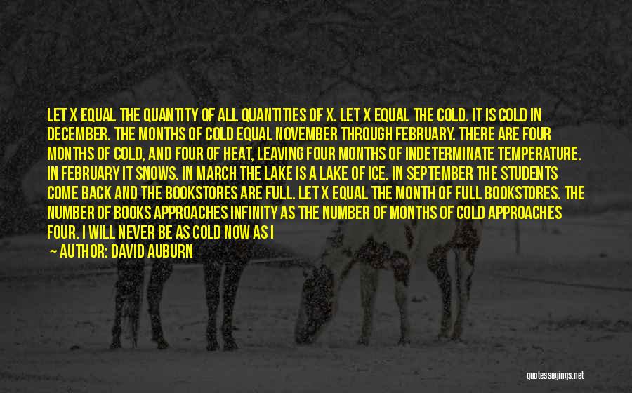 David Auburn Quotes: Let X Equal The Quantity Of All Quantities Of X. Let X Equal The Cold. It Is Cold In December.