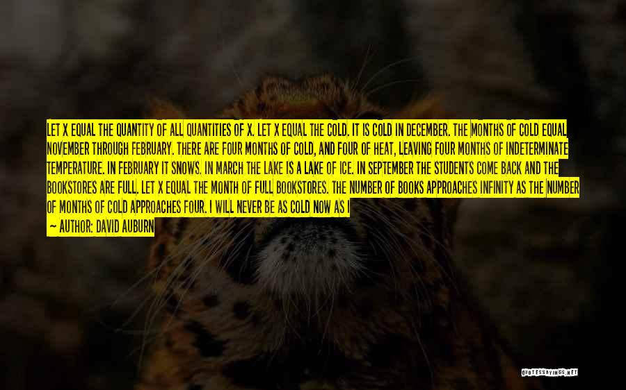 David Auburn Quotes: Let X Equal The Quantity Of All Quantities Of X. Let X Equal The Cold. It Is Cold In December.