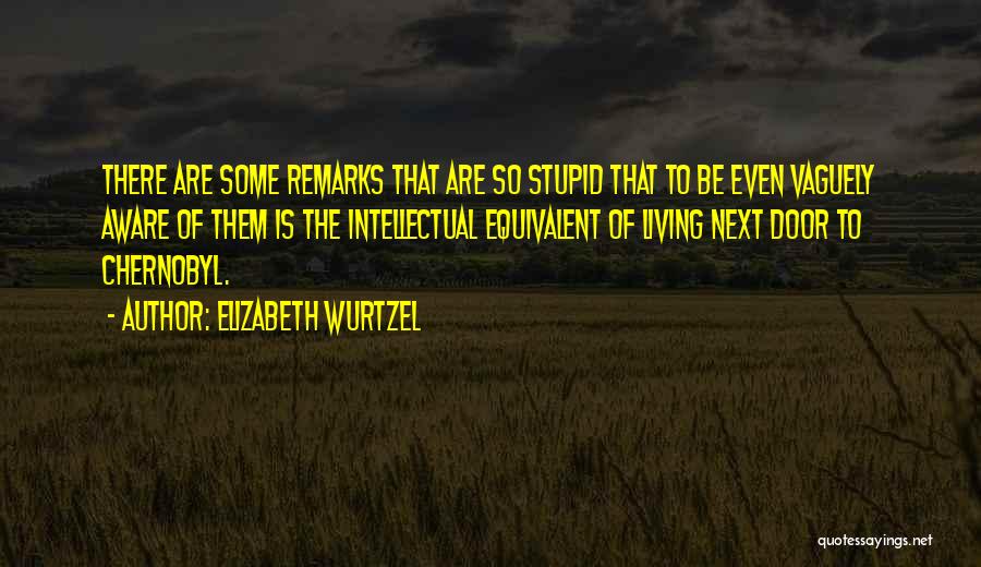 Elizabeth Wurtzel Quotes: There Are Some Remarks That Are So Stupid That To Be Even Vaguely Aware Of Them Is The Intellectual Equivalent